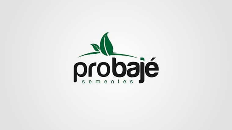 Probajé